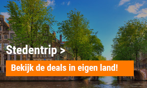 Stedentrip